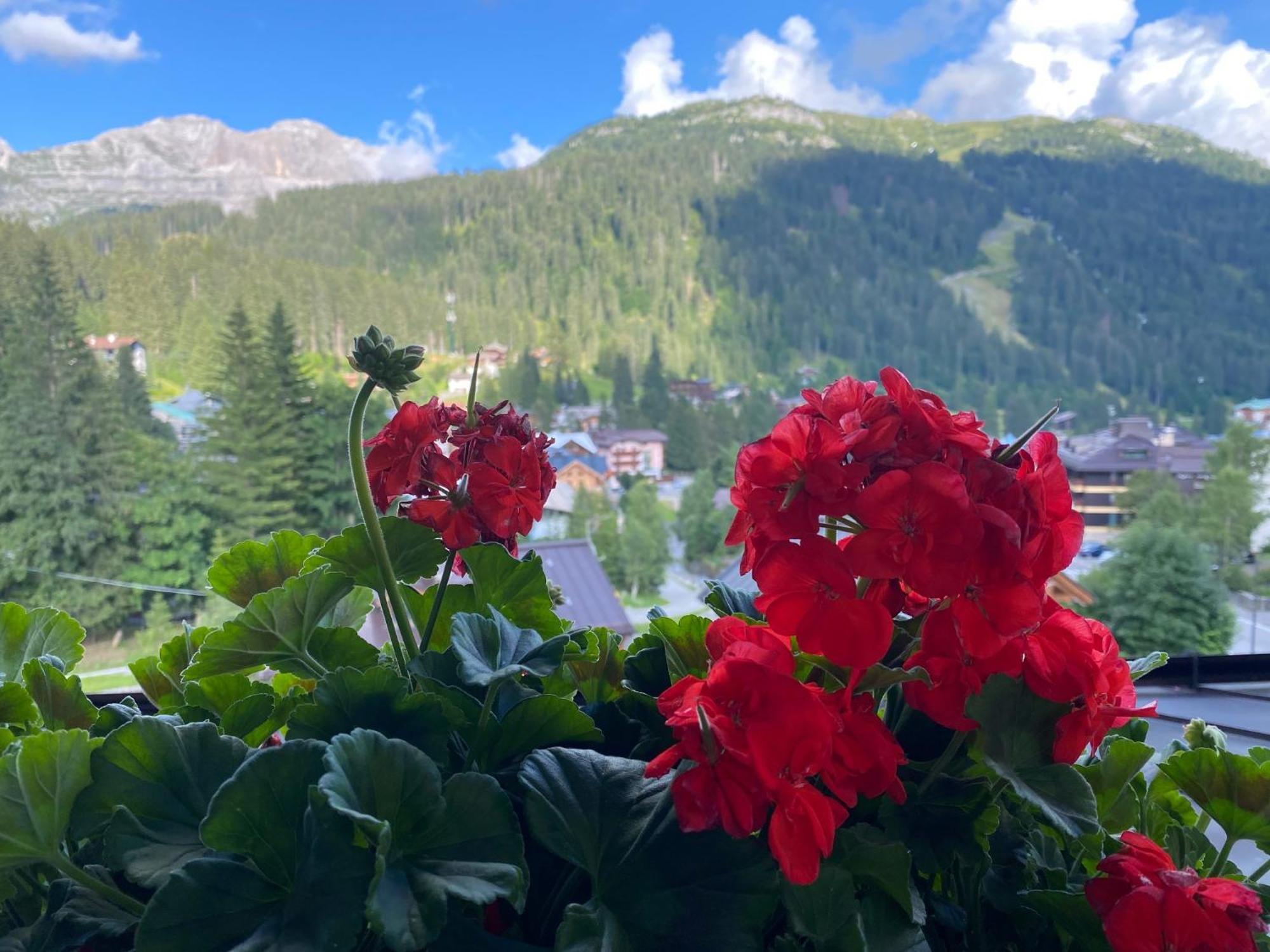 Hotel Dahu Мадона ди Кампильо Екстериор снимка
